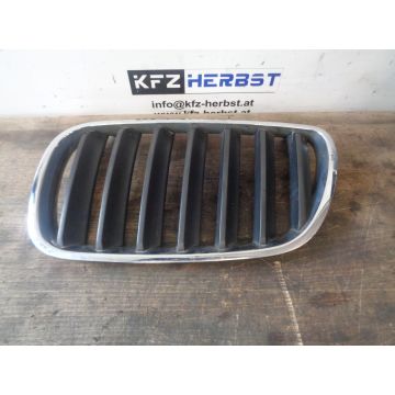 Frontgrill BMW X3 E83 links 2.0d 1995ccm 110kW 204D4 M47T2