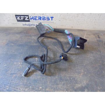 Kabelbaum Audi R8 Radio 4.2 V8 4163ccm 309kW BYH