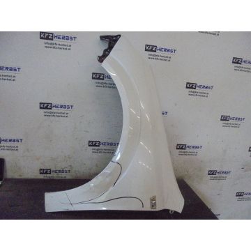 Kotflügel Links Opel Astra H 1.3CDTi 1248ccm 66kW Z13DTH