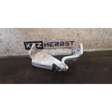 Türscharnier Scharnier Renault Kangoo II Links Hinten unten 1.5dCi 1461ccm 66kW K9K628