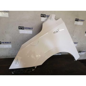 Kotflügel Links Hyundai ix35 663112S050 1.6GDi 1591ccm 99kW G4FD