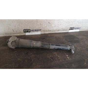 Stoßdämpfer Hinten VW ID.4 1EA512013AD 1EA513049P ccm 150kW EBJA