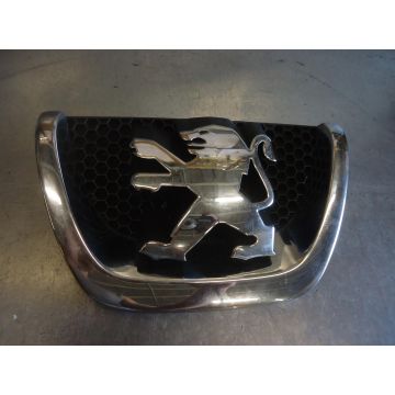 Frontgrill Peugeot 207 9649670480 1.4HDi 1398ccm 50kW 8HZ